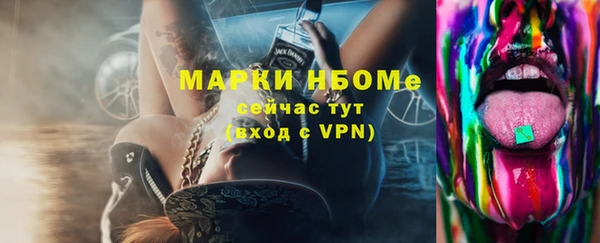 стаф Балахна