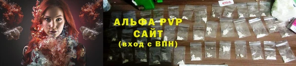 стаф Балахна