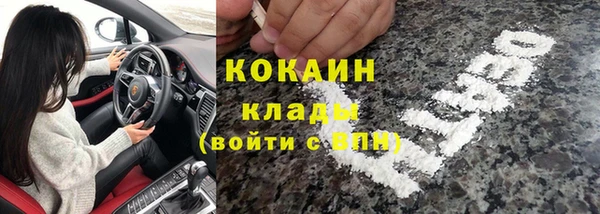 стаф Балахна
