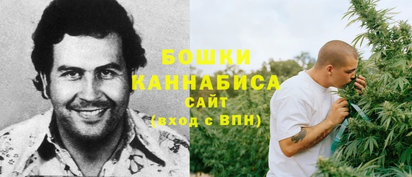стаф Балахна