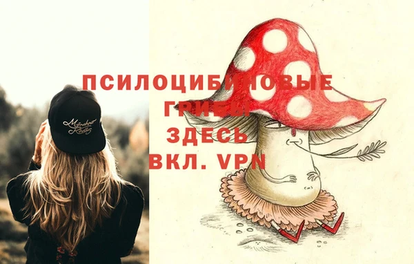 стаф Балахна