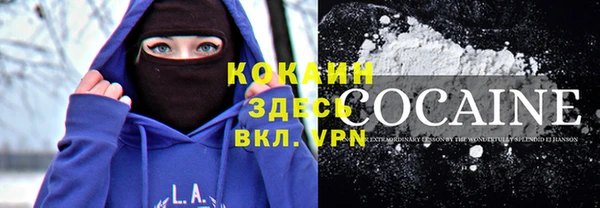 стаф Балахна